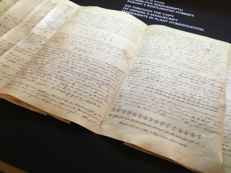 zobrazit detail snímku: Rukopis díla Pokusy s rostlinnými hybridy