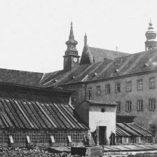 Mendelův skleník