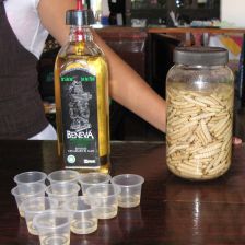 Mexický alkoholický nápoj mezcal.