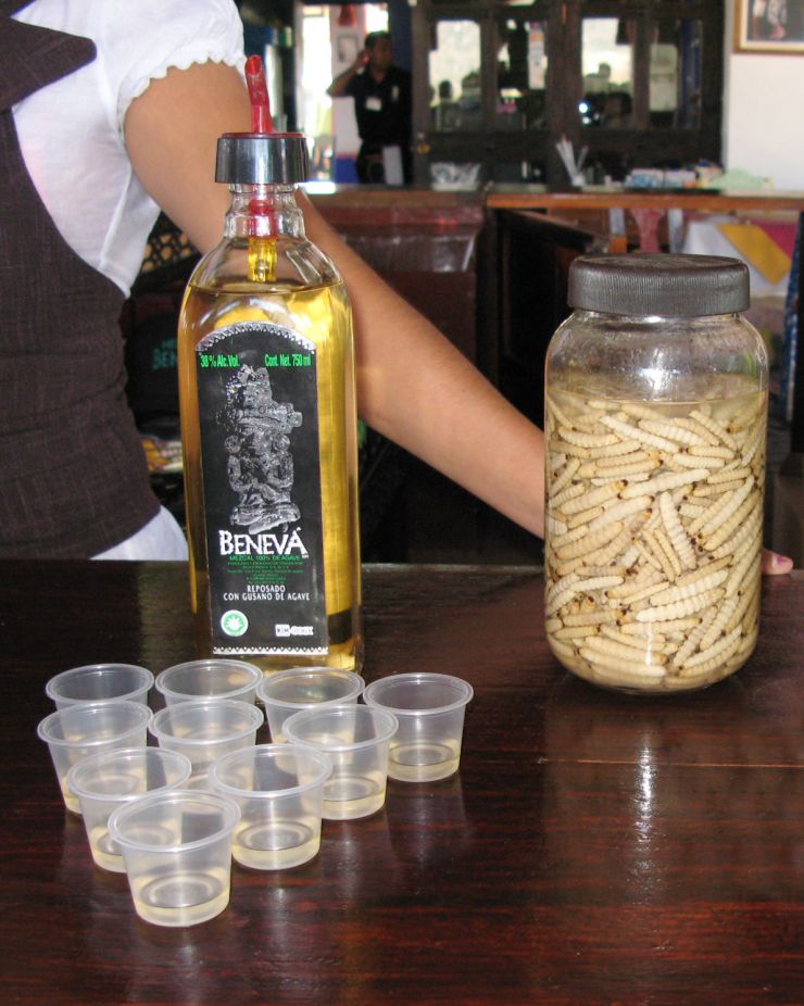 zobrazit detail snímku: Mexický alkoholický nápoj mezcal.
