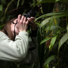 Fotografování rostlin – jak na ostrost