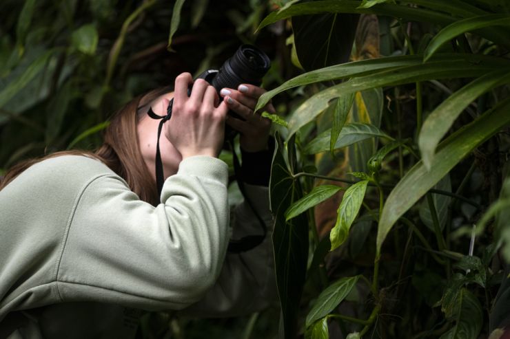 zobrazit detail snímku: Fotografování rostlin