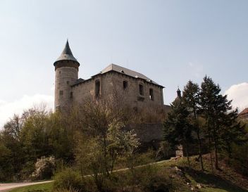 Z5 umí i jiné věci než jen zvířata - klikněte pro zobrazení detailu