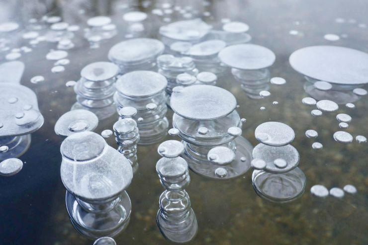 zobrazit detail snímku: Zamrzlé bubliny v Novomlýnských nádržích leden 2026