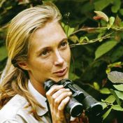 Vyšel jedinečný rozhovor s Jane Goodall, který směl být zveřejněn až po její smrti