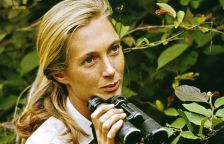 Vyšel jedinečný rozhovor s Jane Goodall, který směl být zveřejněn až po její smrti