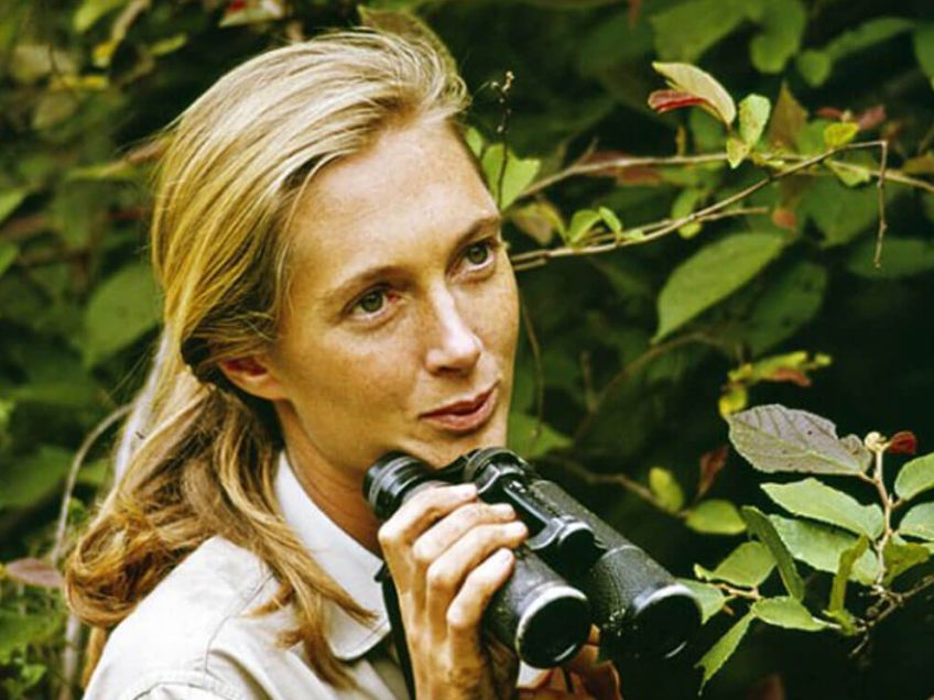 Vyšel jedinečný rozhovor s Jane Goodall, který směl být zveřejněn až po její smrti Vyšel jedinečný rozhovor s Jane Goodall, který směl být zveřejněn až po její smrti: Nedávno zasáhla celý svět velmi smutná zpráva,…