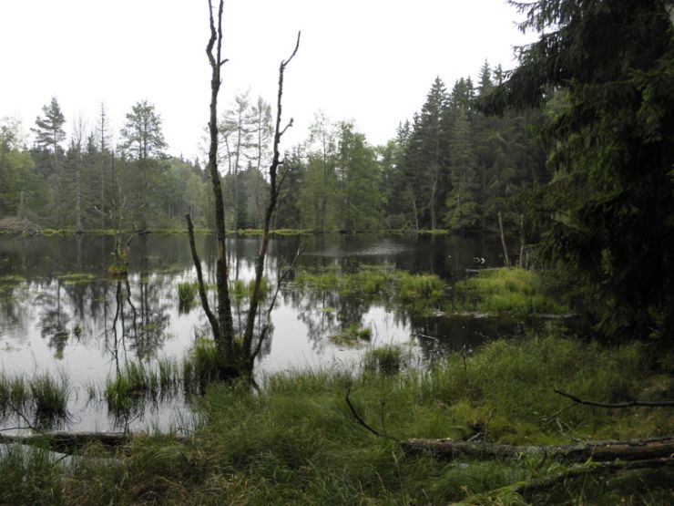 zobrazit detail snímku: Kolmské rybníky