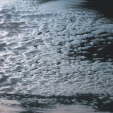 Altocumulus
