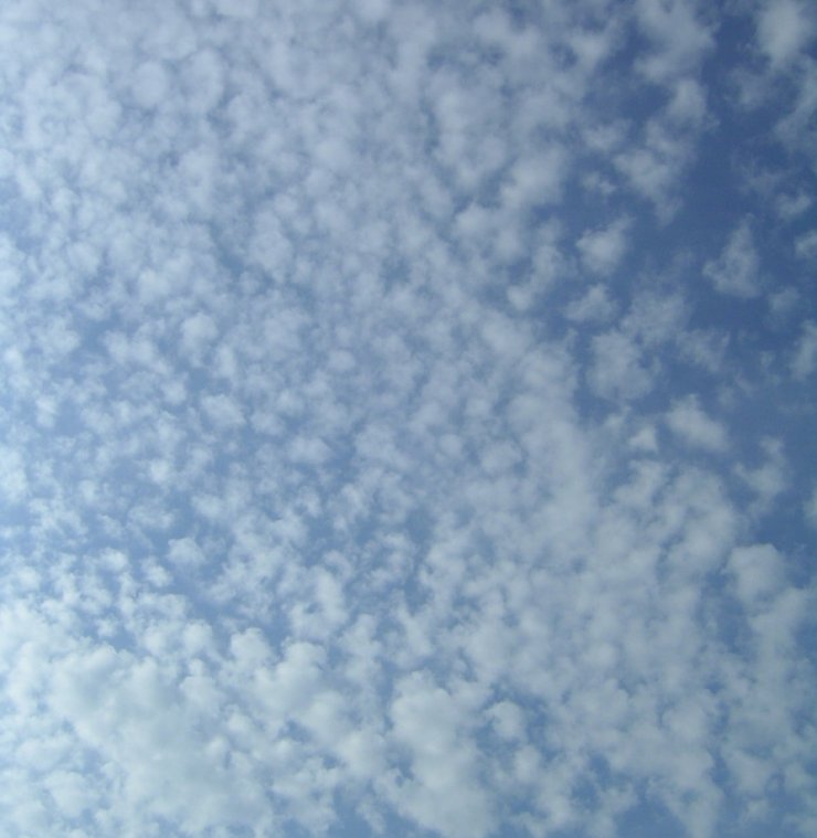 zobrazit detail snímku: Cirrocumulus