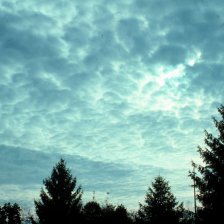 Stratocumulus