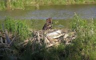 Na bobří řece u Voroněže: O životním stylu národů, bohatství a svobodě.…