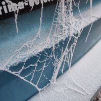 Namrzlá pavučina na autě - klikněte pro zobrazení detailu