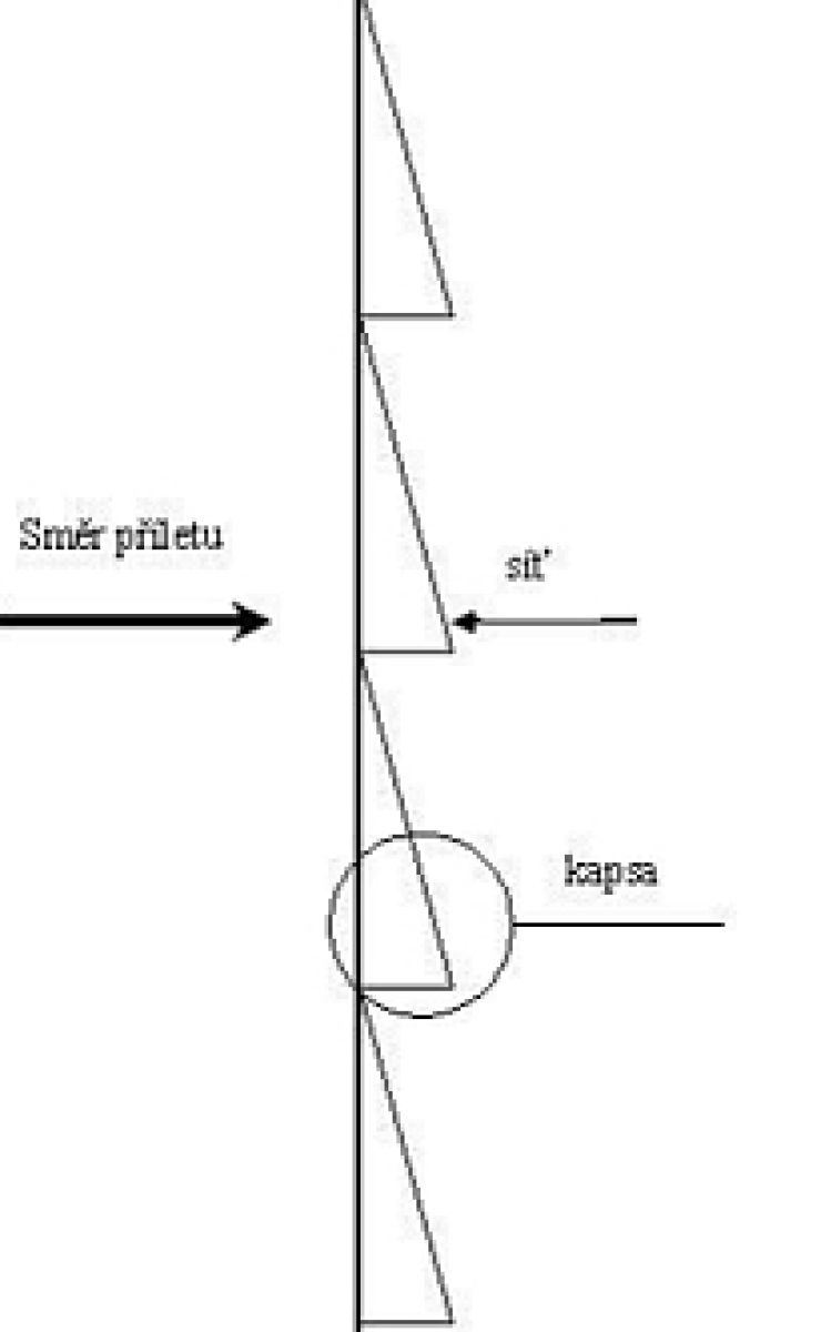 zobrazit detail snímku: Bokorys sítě