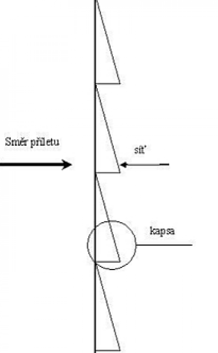 zobrazit detail snímku: Bokorys sítě