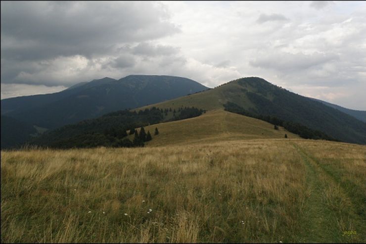 zobrazit detail snímku: Kozí chrbát a a Prašivá chochula