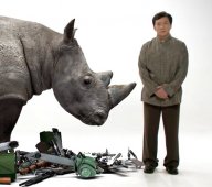Jackie Chan nebojuje jen s 'filmovými záporáky', ale chrání i ohrožená zvířata: Jackie Chan, známá i když už lehce stárnoucí…