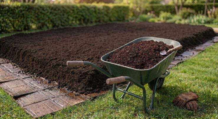 zobrazit detail snímku: No-dig záhon