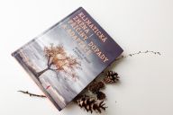 Recenze knihy Klimatická změna – příčiny, dopady a adaptace: Asi tu nemusím psát, že k nějaké klimatické…