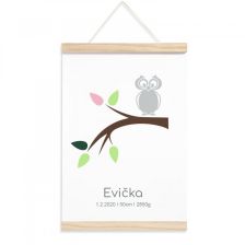 Plakát k narození holčičky - Sovička