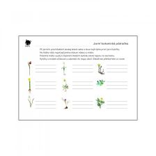 Pracovní list - Hledáme jarní rostliny