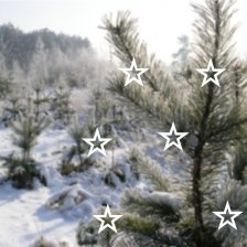 Hvězdičky - sada samolepek na okno
