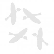 Ptáčci - vybarvovací samolepky nejen na okno