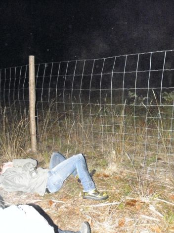 zobrazit detail snímku: oplocenka v nočním lese představuje nebezpečnou past