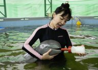 Boj o záchranu mláděte delfína skončil tragicky: Máte rádi delfíny? Vlastně těžko říct proč,...