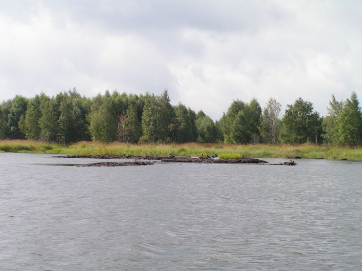 zobrazit detail snímku: Ostrovy ra3eliny