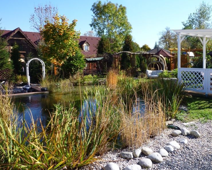 zobrazit detail snímku: Zahradní jezírko