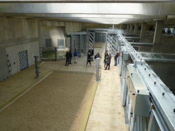 zobrazit detail snímku: Diváci budou mít na slony skvělý výhled, i když si je nebudou moct pohladit. 