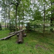 Nová expozice makaků lvích v ostravské zoo 