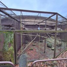 Staré klece u pavilonu primátů v ostravské zoo.