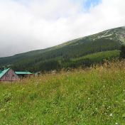 Jak krkonošská příroda zvítězila nad snem o olympijském středisku  Jak krkonošská příroda zvítězila nad snem o olympijském středisku