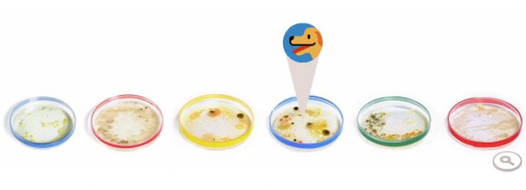 zobrazit detail snímku: Petriho misky na Google