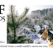 PF 2005