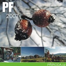 PF 2007