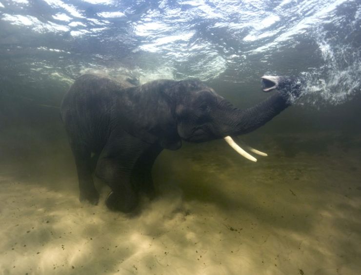 zobrazit detail snímku: 