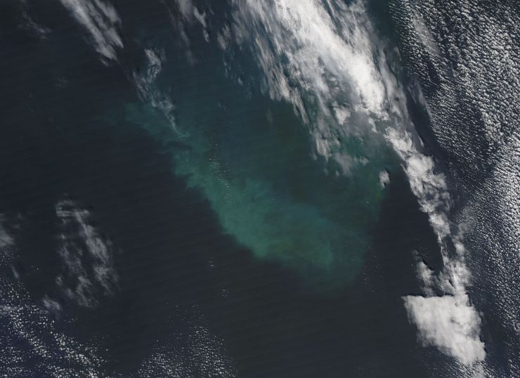 zobrazit detail snímku: Plankton v Severním moři