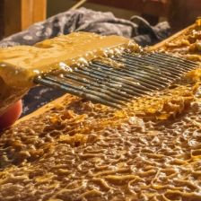 Včelí plástev s voskem a medem