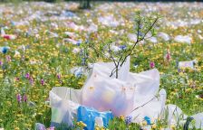 Ekologie nákupních tašek: do čeho dávat nákup a neškodit přitom životnímu prostředí?