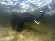 Seriál Planeta země na Viasat Nature: Naše planeta je plná zázraků, nádherných…