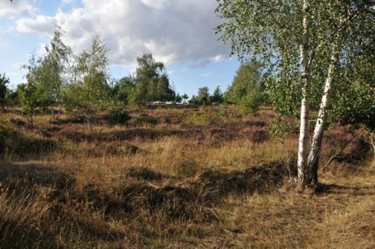 zobrazit detail snímku: Kraví hora