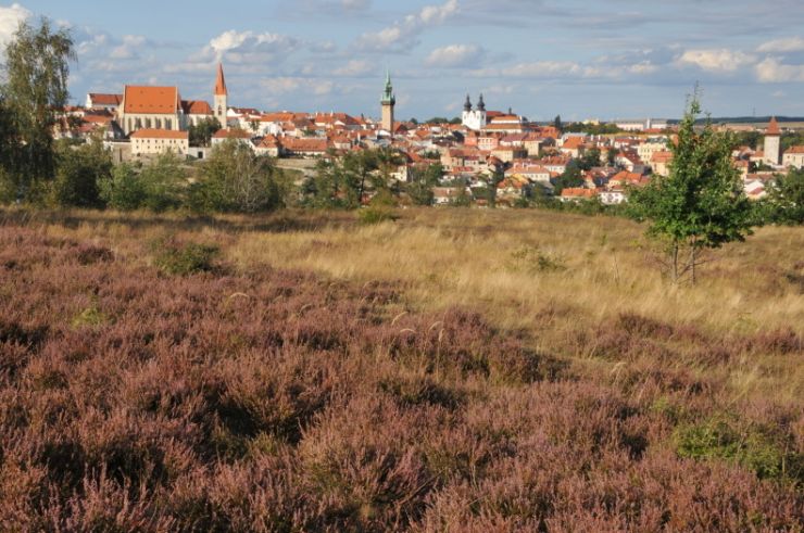 zobrazit detail snímku: Pohled z Kraví hory