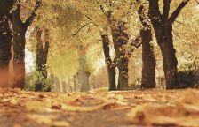 Odpočinek během podzimu: zpomal, nadechni se a načerpej energii