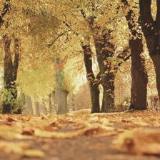 Odpočinek během podzimu: zpomal, nadechni se a načerpej energii Odpočinek během podzimu: zpomal, nadechni se a načerpej energii