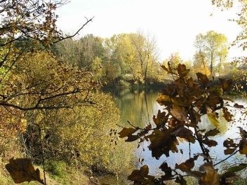 Staré dubové listí - klikněte pro zobrazení detailu Staré dubové listí - klikněte pro zobrazení detailu