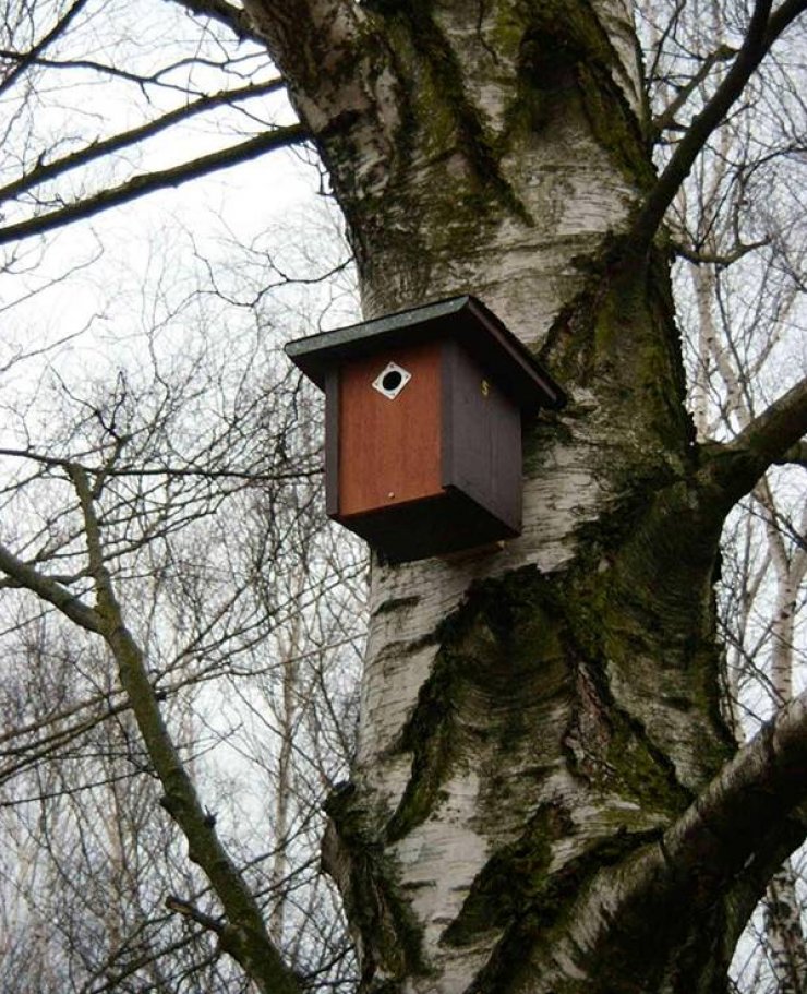 zobrazit detail snímku: Ptačí budka