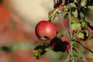 Podzimní fotografování : V září jsme strávili několik krásných dní…